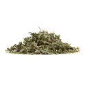 Damiana | Turnera diffusa