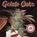 Gelato Cake (T.H.Seeds) Feminiserade