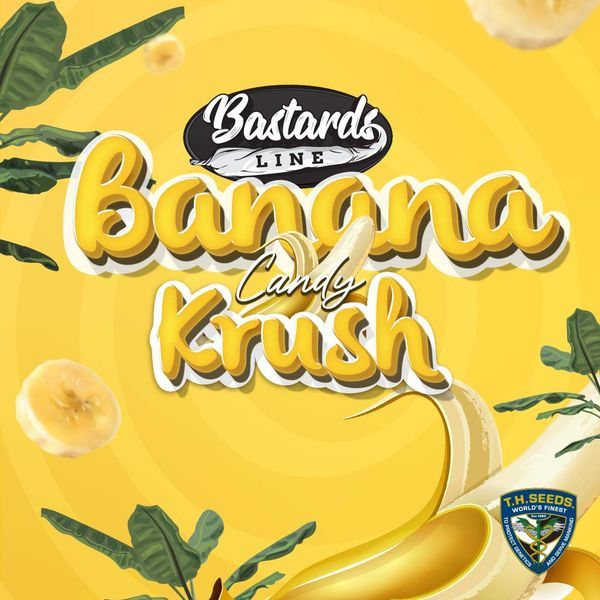 Banana Candy Krush (T.H.Seeds) Feminiserade