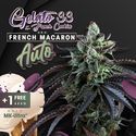 automatisk French Macaron (T.H.Seeds) Feminiserade