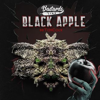 Black Apple Hitchcock (T.H. Seeds) feminiserade cannabisfr&ouml;n