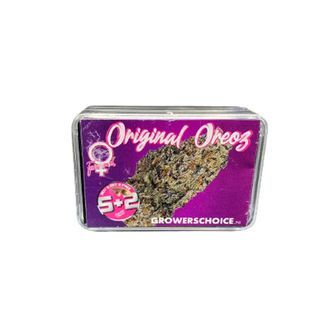 Original Oz (Growers Choice) feminiserade