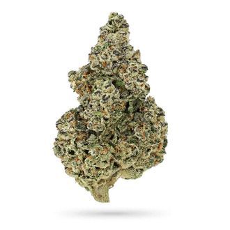 Crazy Roses Fast Version (Growers Choice) Feminiserade