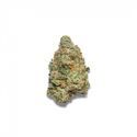 Apple Fritter Autoflower (Growers Choice) Feminiserade