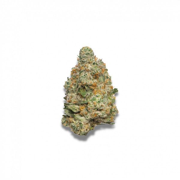 Apple Fritter Autoflower (Growers Choice) Feminiserade