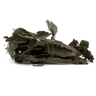 Salvia torkade blad