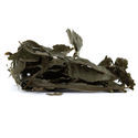 Salvia torkade blad