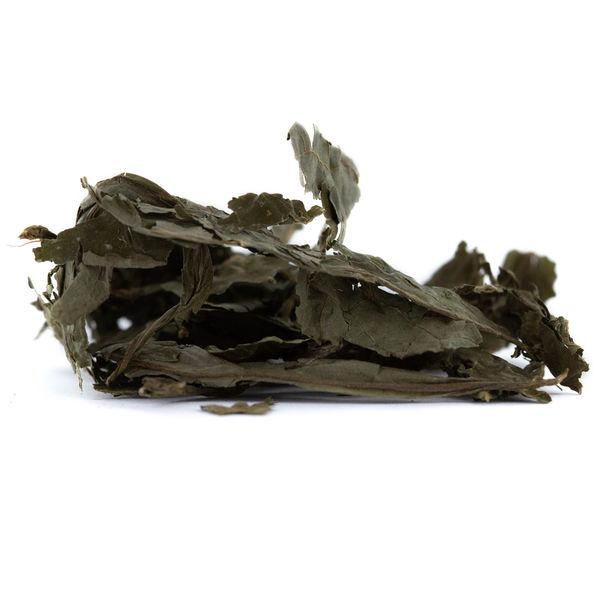Salvia torkade blad