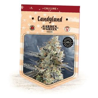 Candyland (Garden of Green) feminiserade