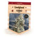Candyland (Garden of Green) Feminiserade