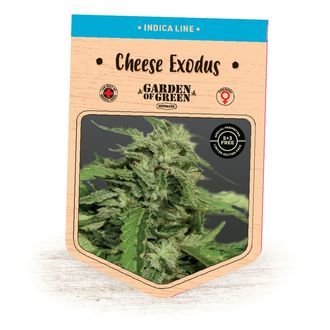Cheese Exodus (Garden of Green) Feminiserade