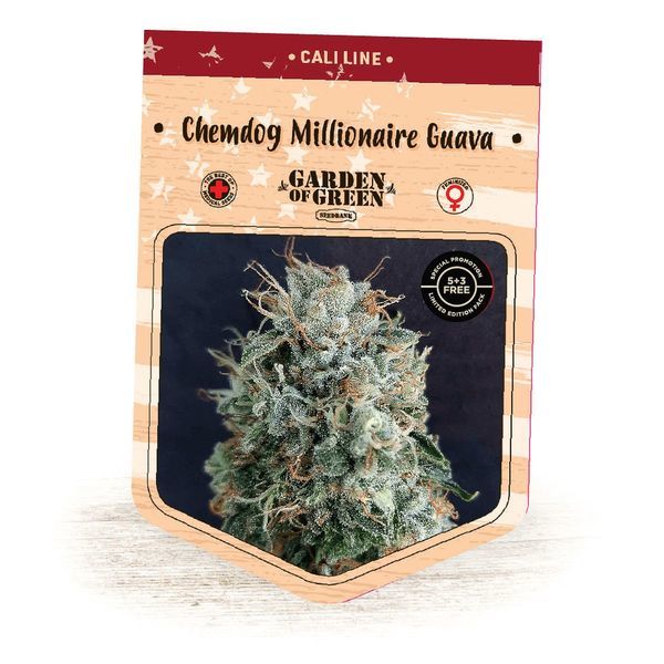 Chemdog Millionaire Guava (Garden of Green) Feminiserade