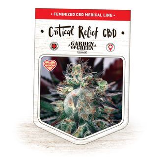 Critical Relief CBD (Garden of Green) Feminiserade