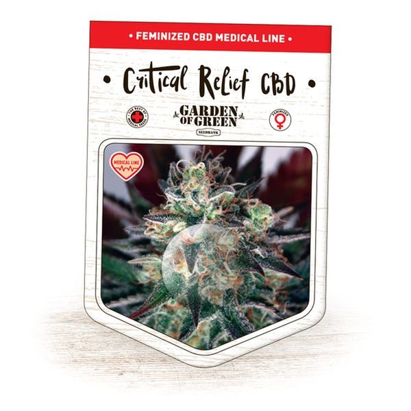 Critical Relief CBD (Garden of Green) Feminiserade