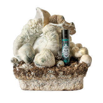 Melmac Monster vätskekulturspruta (Acid Shroomz)