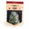 Guava (Garden of Green) Feminiserade