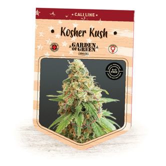 Kosher Kush (Garden of Green) feminiserade