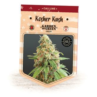 Kosher Kush (Garden of Green) Feminiserade