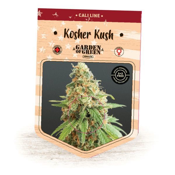 Kosher Kush (Garden of Green) Feminiserade