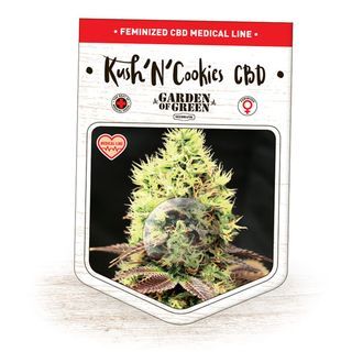 Kush'N'Cookies CBD (Garden of Green) Feminiserade