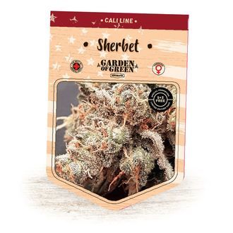 Sherbet (Garden of Green) Feminiserade