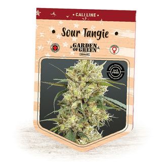 Sour Tangie (Garden of Green) feminiserade cannabisfr&ouml;n