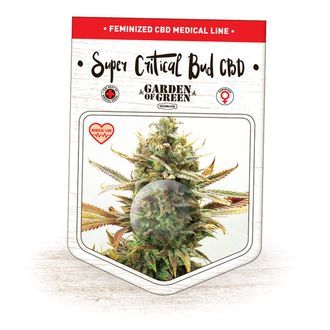 Super Critical Bud CBD (Garden of Green) Feminiserade