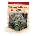 Blueberry Cookies Auto (Garden of Green) Feminiserade