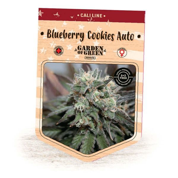 Blueberry Cookies Auto (Garden of Green) Feminiserade