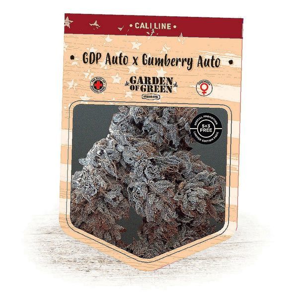 GDP Auto x Gumberry Auto (Garden of Green) Feminiserade