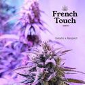 Respeto (French Touch Seeds) Feminiserade
