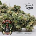 Senmbelek Cookie (French Touch Seeds) Feminiserade