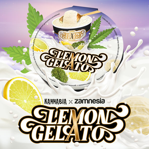 Lemon Gelato (Kannabia x Zamnesia) Feminiserade