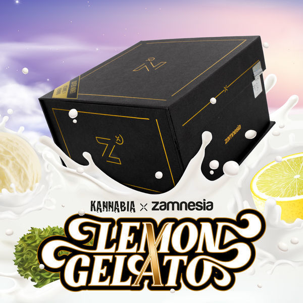 Lemon Gelato (Kannabia x Zamnesia) Feminiserade