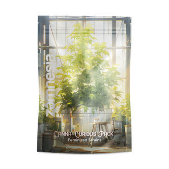 Canna-Curious Pack &ndash; feminiserade sorter