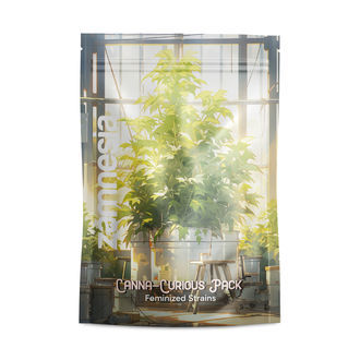 Canna-Curious Pack &ndash; Feminiserade sorter
