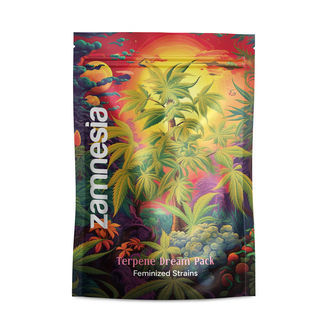 Terpene Dream Pack &ndash; feminiserade sorter