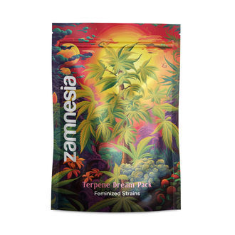 Terpene Dream Pack - Feminiserade sorter