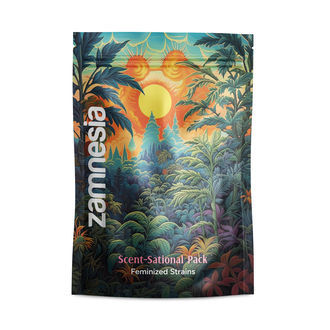 Scent-Sational Pack &ndash; Feminiserade sorter