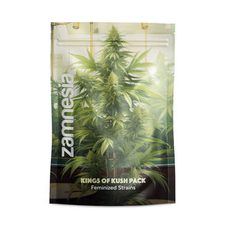Kings of Kush-paket &ndash; Feminiserade sorter