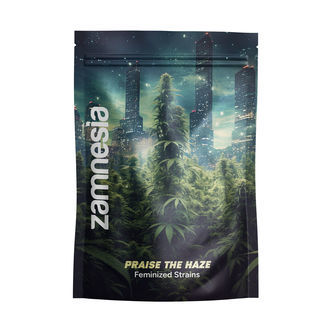 Praise the Haze Pack &ndash; feminiserade sorter