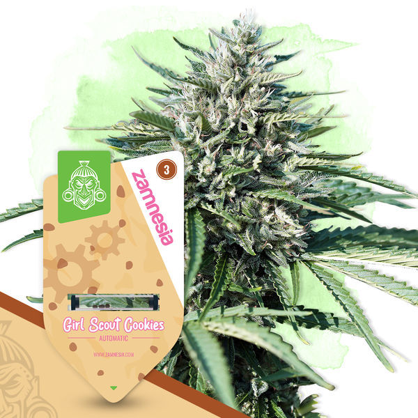 Legendary Pack – Autoflower-sorter