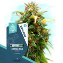 Legendary Pack – Autoflower-sorter