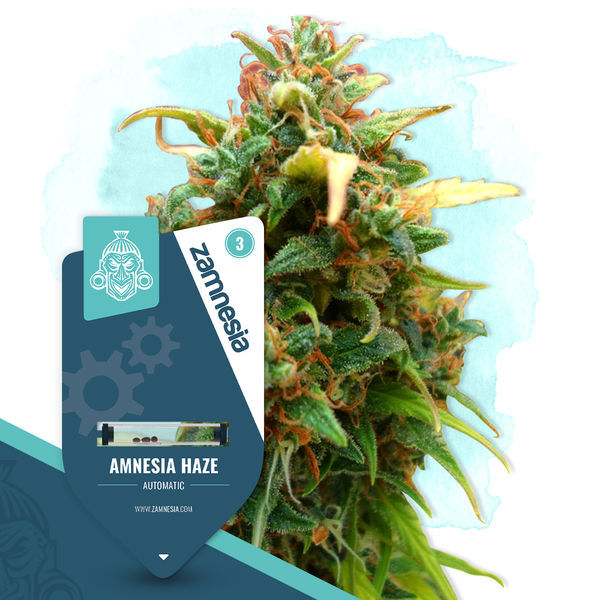Legendary Pack – Autoflower-sorter