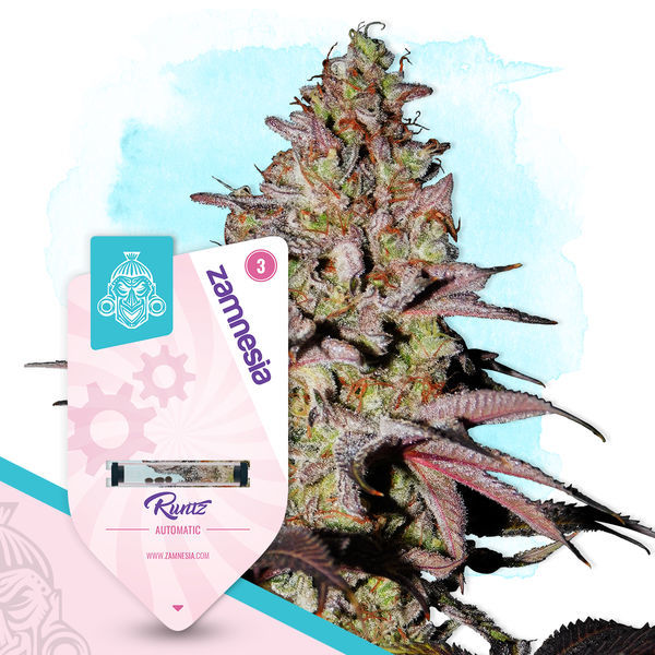 Legendary Pack – Autoflower-sorter