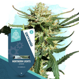 Canna-Curious Pack – Autoflower-sorter