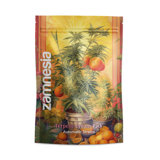 Terpendr&ouml;mpaket &ndash; Autoflower-sorter