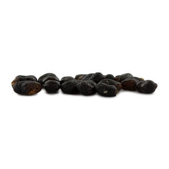 Prickly Pack – meskalinkaktusfrön