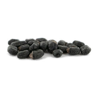 Prickly Pack – meskalinkaktusfrön
