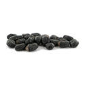 Prickly Pack – meskalinkaktusfrön